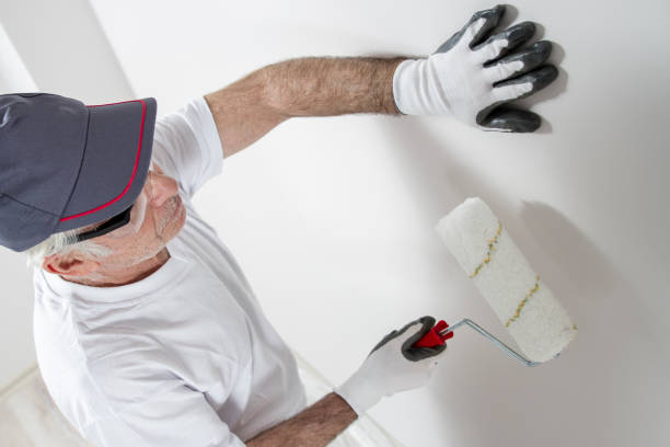 San Carlos, CA Painting & Drywall Installation Company